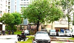 Jurong West Avenue 1 (D22), Shop House #569152541